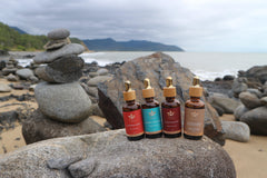 Complete Ayurvedic Skincare Package - Holy Sanity 